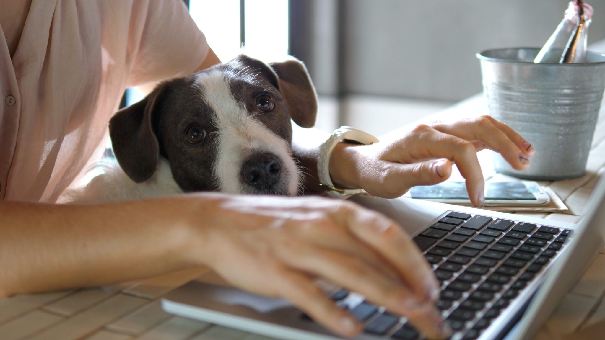 The Shrieks and Chills of Working from Home
